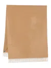 Max Mara Fringed Cashmere Scarf In Brown
