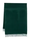 Max Mara Fringed Cashmere Scarf