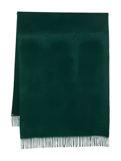 Max Mara Fringed Cashmere Scarf