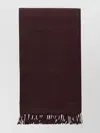 Max Mara Fringed Edge Fashion Scarves Collection In Brown