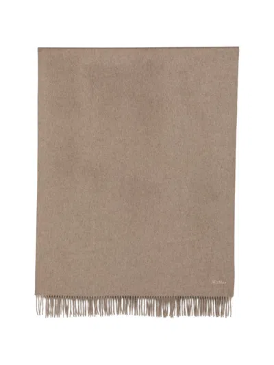 Max Mara Schal Mit Logo-stickerei In Brown