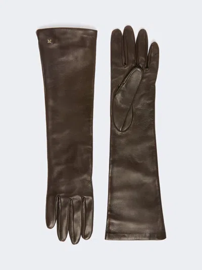 Max Mara Gants Longs En Nappa In Brun Fonce