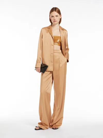 Max Mara Georgette Crop Top With Sequins In Brown