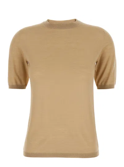 Max Mara 'gerico' Beige Crewneck Sweater With Short Sleeves In Wool Woman