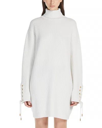 Max Mara Ghinea Dress