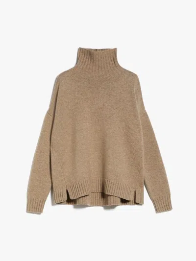 Max Mara Gianna Wool And Cashmere Pullover In Cammello