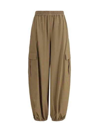 Max Mara Glauco Pants In Brown