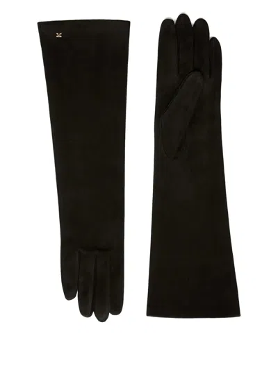 Max Mara Gloves Accessories In Black