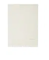 Max Mara Graded Cashmere Scarf In White
