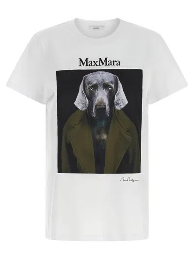 Max Mara Graphic-print Cotton T-shirt In Multi