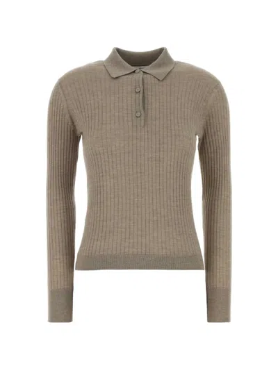 Max Mara Dove Grey Cashmere Blend Gitano Polo Shirt In Gray