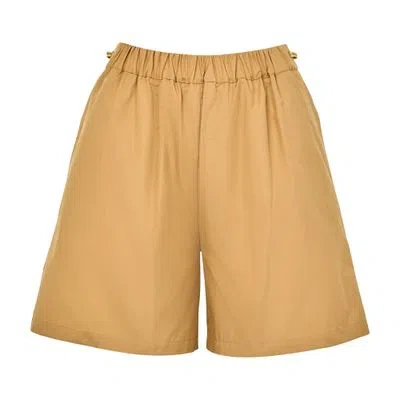Max Mara Haway Cotton Poplin Shorts In Brown