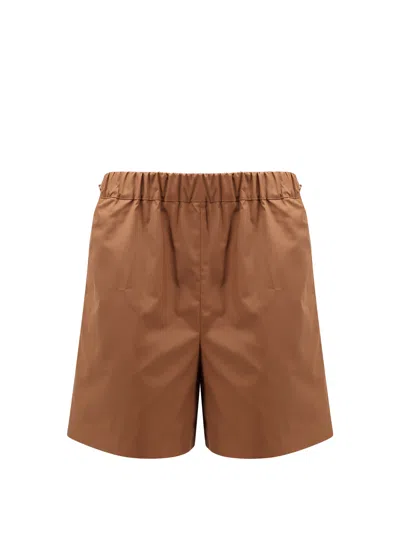 Max Mara Haway Cotton Shorts In Brown