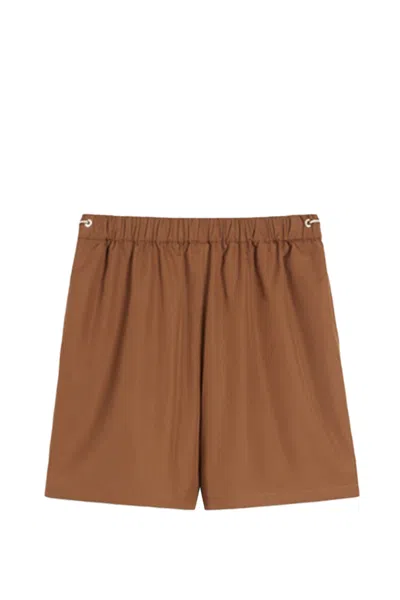 MAX MARA HAWAY SHORTS