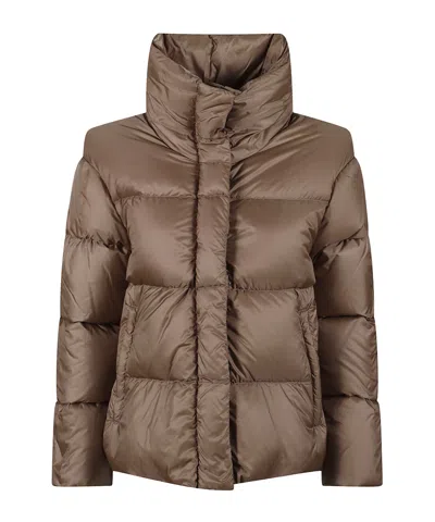 Max Mara Long-sleeved Cotton Jacket In Brown