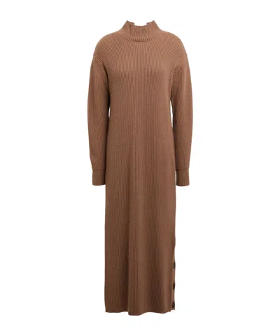 Max Mara High Neck Ribbed Knit Long-sleeve Maxi Dress In Brown