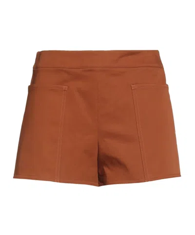 Max Mara High Waist Shorts In Brown