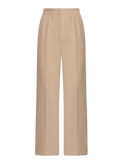 Max Mara High Waisted Straight-leg Pants In Brown