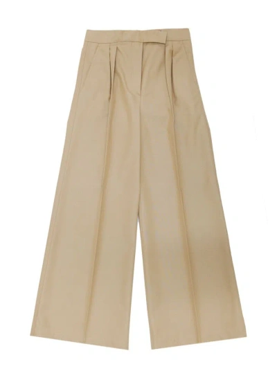 Max Mara High Waist Wide Leg Pants In Brown