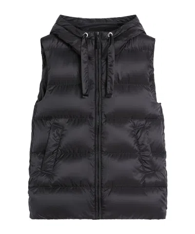 Max Mara Hooded Cotton Padded Vest In Black