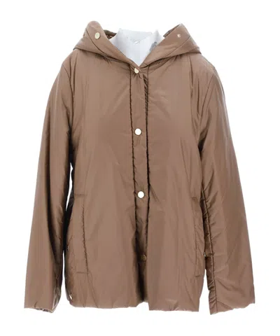 Max Mara Hooded Cotton Suit In Brown