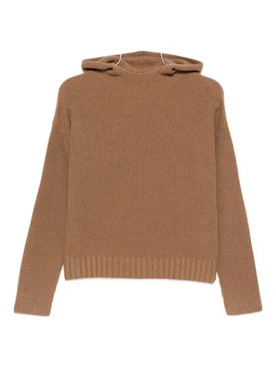 Max Mara Hooded Knitted Top In Neutral