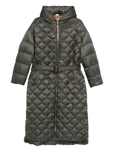Max Mara Hooded Quilted Belted Jacket In Green