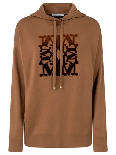 Max Mara Hoodie Sweater In Brown