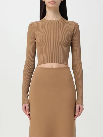 Max Mara Arcella1234 Jumper In Brown