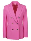 Max Mara Double-breasted Tailored Blazer In Multicolor
