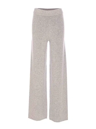 Max Mara Moritz Pants In Gray