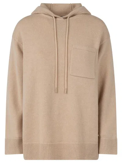 Max Mara Wool And Cashmere Hooded Sweater In Brown