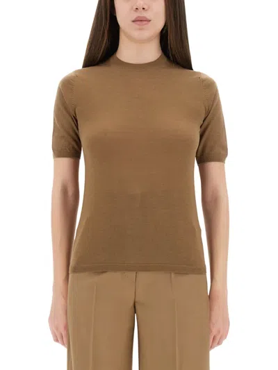 Max Mara Jersey Jeric In Brown