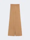 Max Mara Wool And Cashmere Trousers In Brown