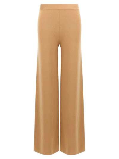 Max Mara Judy Pants In Brown