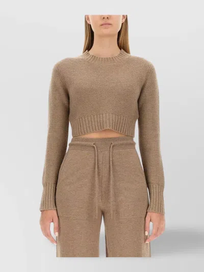 Max Mara Knit Long Sleeve Cropped Top In Brown
