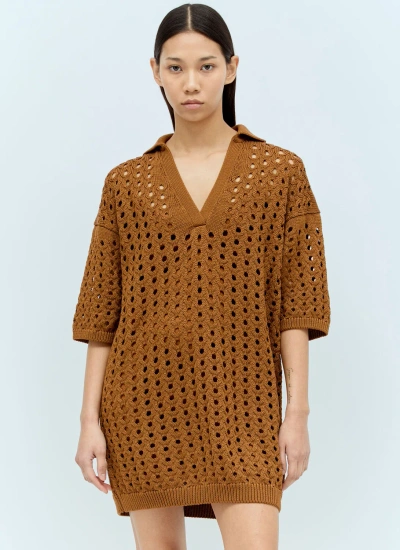 Max Mara Knit Mesh Mini Dress In Brown