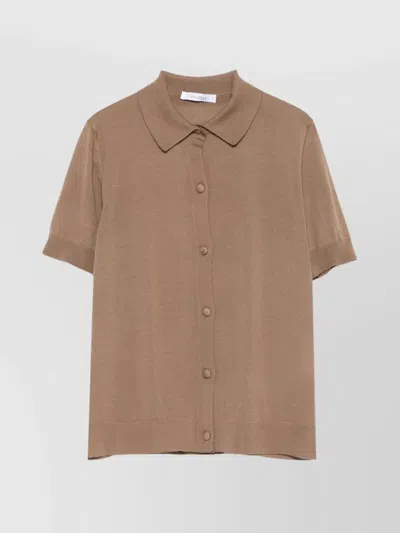 Max Mara Knit Shirt Collar Cardigan With Short Sleeves In Brown