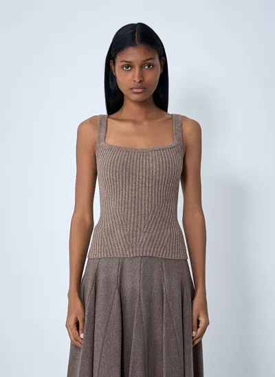 Max Mara Knit Tank Top In Brown