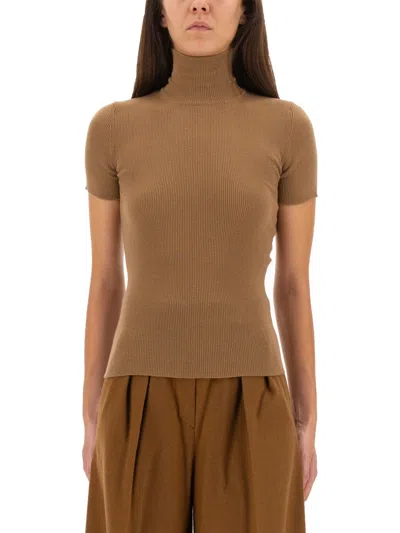 Max Mara Knit Top Afa1234 In Brown