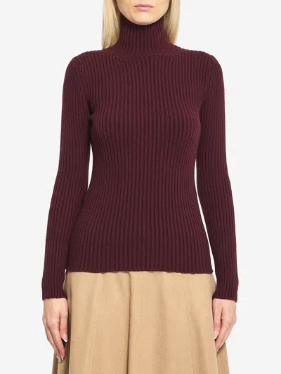 Max Mara Wool And Cashmere High Neck Knit Top In Burgundy