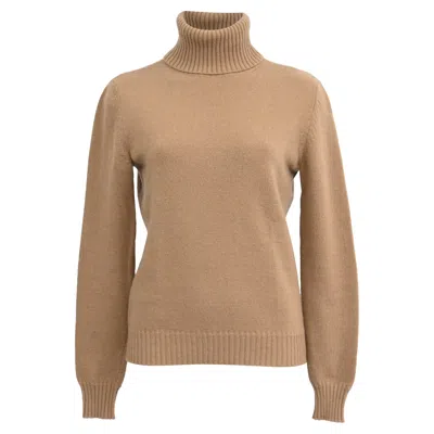 Max Mara Knitted Rolled Neck Sweater In Brown Wool