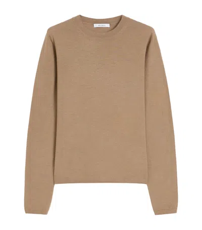 Max Mara Crew Neck Long-sleeved Knitwear In Brown