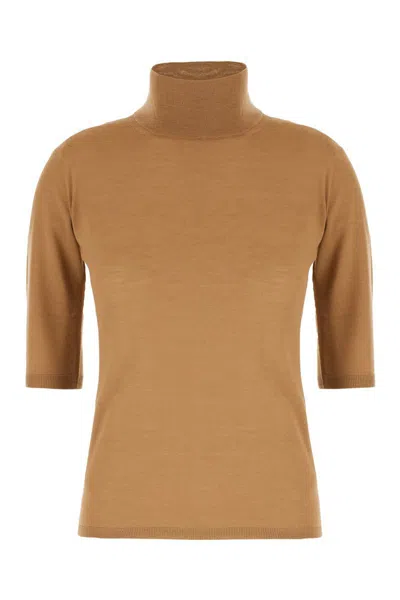 Max Mara Knitwear In Brown