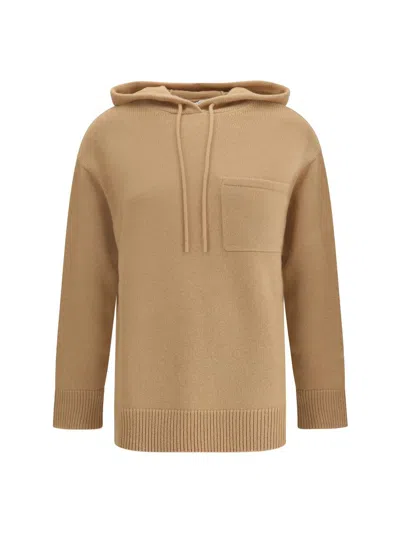 Max Mara Knitwear In Brown