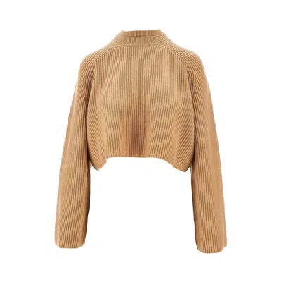 Max Mara L And Cashmere Cropped Sweater In Nude