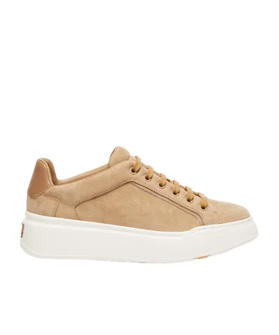 Max Mara Round Toe Lace-up Sneakers In Beige