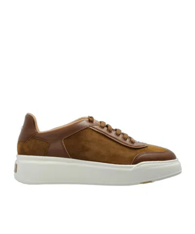 Max Mara Panelled Leather Sneakers In Brown