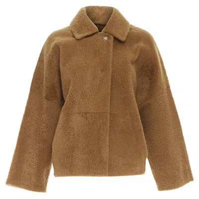 Max Mara Lambskin Leather Shearling Teddy Short Coat In Brown