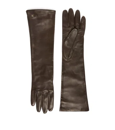 Max Mara Lambskin Long Gloves In Brown